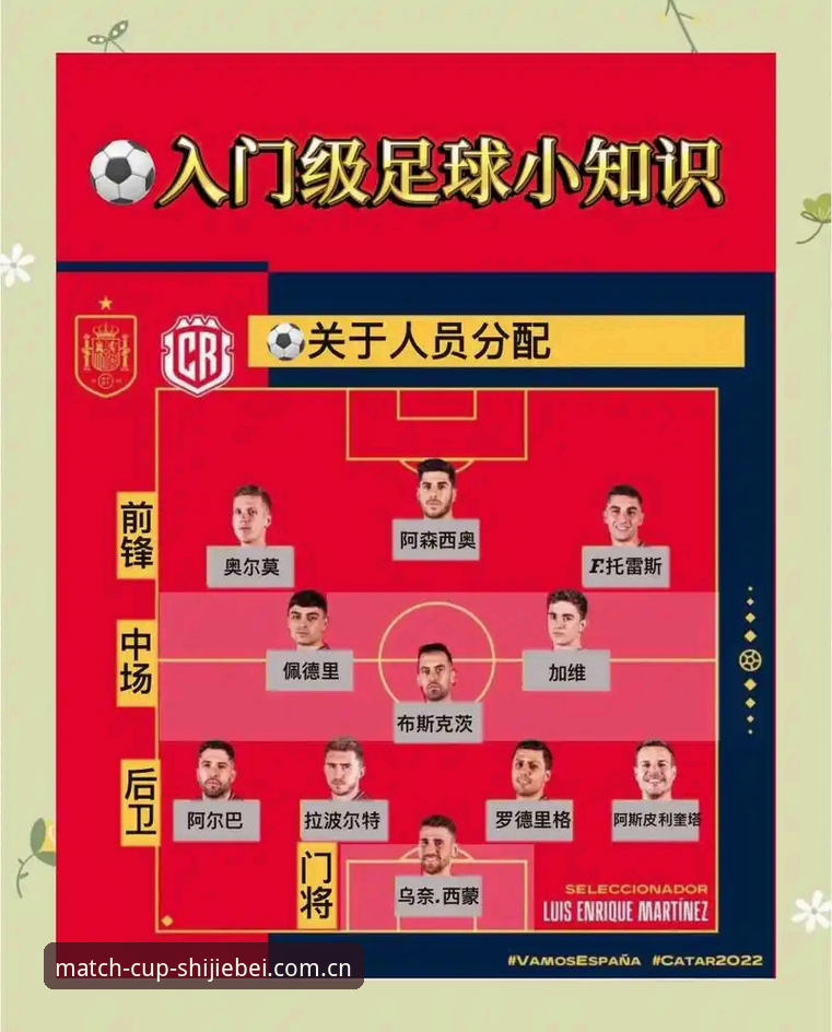 世界杯下注教程 世界杯下注教程完整指南:从新手到高手的进阶路线图